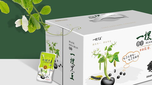 即食豆干包裝設(shè)計 廣州專業(yè)公司的創(chuàng)新與實踐